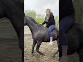 Woman Falls off Horse as It Runs Away - 1508432