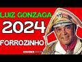LUIZ GONZAGA FORROZINHO (CAROLINA - REMIX - PISEIRO) VERSÃO LUIZ O PODEROSO CHEFÃO 2024-PRA PAREDÃO