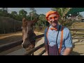 Blippi Plays with Animals at the Zoo! 2 Hours of Animal Stories for Kids