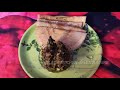 ആട്ടിൻ കാൽ മസാല / Healthy & Tasty Recipe / Post pregnancy Care / Mutton Leg Masala