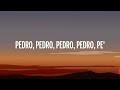 PEDRO - Jaxomy, Agatino Romero, Raffaella Carrà (TikTok Song) [Lyrics]