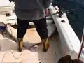 Halibut Sport fishing Prince Rupert 220 lbs