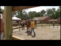 Healing Horses Eagle Scout Service Project