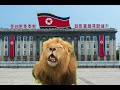 North Korean Lions