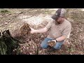 More Mushroom Hunting- Hen of the Woods