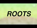 ROOTS (Cover)