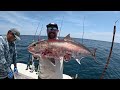 Battling One Of The Hardest Fighting Fish In The Gulf of Mexico!