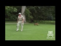 A Fox Steals A Man's Golf Ball And Has The Time Of His Life!