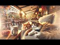 Healing Piano Jazz Work BGM Cafe Healing Relaxing Bossanova chill【Relaxing Cat Chord】