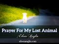Prayer For A Lost Animal - Find A Lost Pet