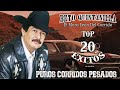 Beto Quintanilla / El Mero León Del Corrido / Top 20 Exitos/ Puros Corridos Pesados