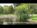 Geese Enjoying Their Time in the Pond | Huntington Central Park, Huntington Beach California