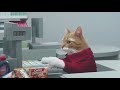 Weird German cat commercial