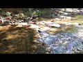 Mill Creek, a babbling brook near Chatsworth, GA