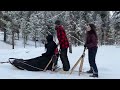 Dog Sledding at Triple Creek Ranch