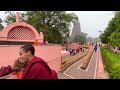 Maha Bodhi Temple/Dorjeden/Bodhgaya Bihar. 2020