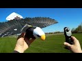 Go Go Bird Eagle RC Bird Flight Test Review