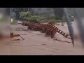 Massive destruction due to floods and landslides in Valais, Switzerland!