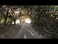 Scenic Virtual Bike Ride, Beach North of Sydney, Coffs Harbour Tour in 4K UHD, Real Ocean Sound