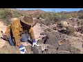 GOLD  | GEOLOGY - What Rocks to Look For. ask Jeff Williams