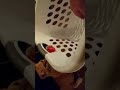 Basket Cat