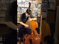 Autumn Leaves Bass Solo