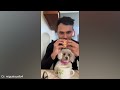 When the dog wants to be treated like you 🐶 Funniest DOGS Video 2024