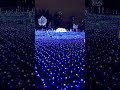 lễ hội ánh sáng tại Tokyo