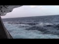 Carnival Magic Departure Time Lapse ,San Juan, PR