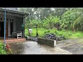 Walk in Heavy Rain and Lightning in Beautiful Village | Thunderstorm Rain Hits Rural Indonesia