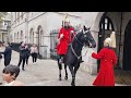 Never seen 2 King's Guards Reprimand 2 Idiots as Horse is Agitated at Horse Guards in London
