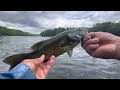 Chasing Summer Smallmouth Bass On The Delaware River