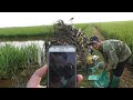 Hành Trình Theo Chân Thợ Bẫy Cò P90 - Bẫy cò trên cánh đồng/Amazing Trapping storks top On the Filed