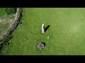 Graianog Standing Stone, Capel Uchaf, Gwynedd by Drone
