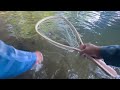 JACKPOT!! Creek Fishing For Trout With  RAPALA ULTRA LIGHT MINNOW