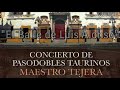 Concierto de Pasodobles de la BM Maestro Tejera en Tomares 2021