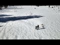 Mavic Air 2 snow test shot