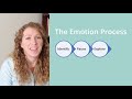 How to Process Your Emotions: Course Introduction/30 Depression and Anxiety Skills Course