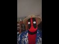 Vacation Deadpool for Alt-Con 2016