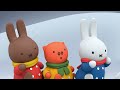 Miffy on Safari! | Miffy | Sweet Little Bunny | Miffy New