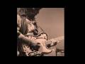 Waylon Jennings -