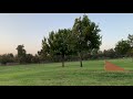 Losi DBXL And losi 5T jumping at the park