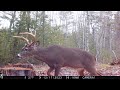 December 2023 Game Cameras