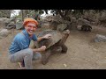 Blippi Visits San Diego Zoo  |Animals for Kids |Animal Cartoons |Funny Cartoons |Learn about Animals