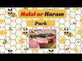 What do you know about Halal or Haram in Islam | Halal or Haram Edition