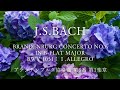 【バッハ名曲12選 Vol.1】クラシック名曲シリーズ J.S.Bach best selection/play list/BGM/relaxing