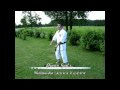 Shitoryu Pinan Kata 1-5 with bunkai drills.avi