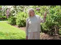 Martha Stewart on how to throw a garden tea party