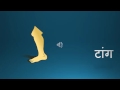 Parts of the body in Hindi - Sreekar
