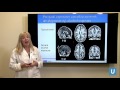 How Does a Child's Brain Develop? | Susan Y. Bookheimer PhD | UCLAMDChat